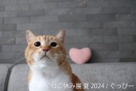 今年もやってきた！「ねこ休み展」夏の本祭は新たなスター猫登場♪8/16(金)～東京で開催！最新作や限定グッズなど楽しさ満載