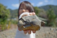 夏休みは1億年前の化石採集を！100％見つかる化石採集体験が開始3ヶ月で来場者数3,000名を達成！熊本・天草の離島“恐竜の島”御所浦にて