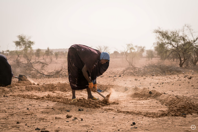 人道支援活動への資金が減少する中、国連世界食糧計画（WFP）は西アフリカの厳しいリーンシーズンに対処するための大規模な対策を開始