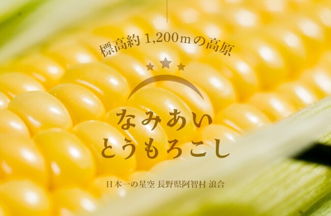 【日本一の星空】長野県阿智村　標高約1200ｍの高原で「なみあい とうもろこし」収穫体験開催