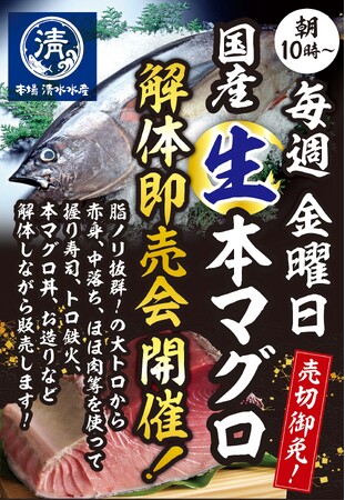 今年オープン!「西葛西場外市場」にて国産生本マグロの解体即売を「毎週金曜日」に実施！
