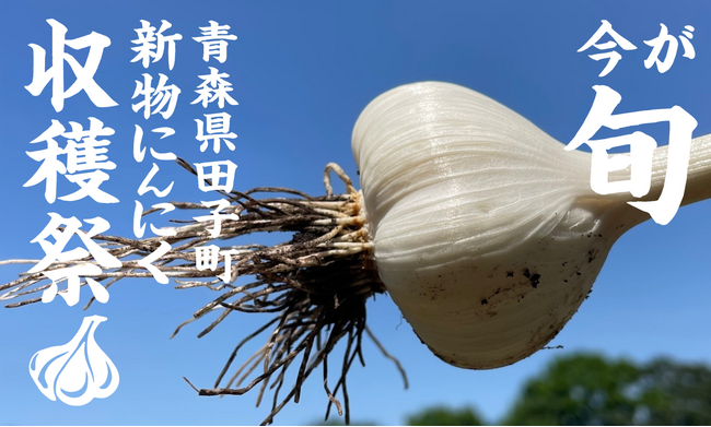 【大阪 十三発】夏バテ知らずで元気に過ごそう！「にんにく焼肉チャッカ」が贈る、青森県田子町産 新物にんにくを使った「にんにく収穫祭」