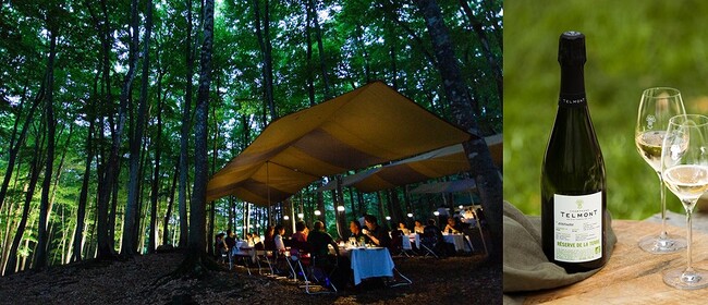 サステナブルなアプローチでシャンパーニュの新時代を切り拓くテルモン里山を豊かに彩る「美人林」にて楽しむ饗宴「Matsunoyama Sustainable Dining in 美人林 2024」