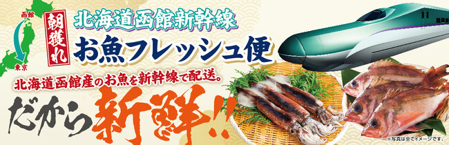 函館港の朝獲れ鮮魚を新幹線配送！
