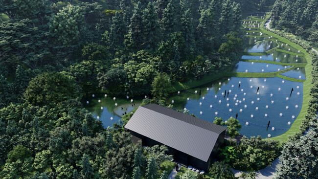 グランピングとチームラボの光のアート｜「五浦 幽谷隠田跡温泉　源泉掛け流し&グランピング」茨城・五浦に、2024年秋開業予定。森・アート・温泉で一体化する宿泊体験を。