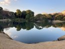 （写真：六義園・受賞者撮影）
