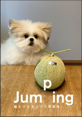 Jumping 跳んでるモコゾウ写真集 Jumping 跳んでるモコゾウ写真集
