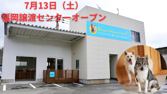 ピースワンコ「殺処分ゼロ」プロジェクト、九州へ！福岡に保護犬の譲渡センターをオープン