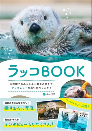 【たちまち重版!!】かわいらしい姿から野生の生態まで今のラッコのすべてがわかる『ラッコBOOK』著者からコメント＆未公開写真が到着！