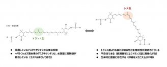 【名城大学】機能性が強化された次世代型アスタキサンチンの開発へ！～効率的かつ化学薬品不使用のカロテノイド異性化技術を確立～