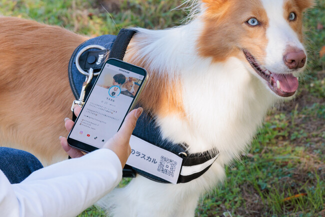 【犬用アプリ連携ネームタグ】DOGGY'sQRの一般販売を開始！新しいコミュニケーション体験&スマート迷子札としての機能も。