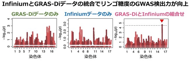芽生えの段階でのリンゴ果実特性の予測精度が向上!～ゲノム情報の統合で過去に取得したデータも利用可能に～