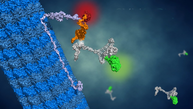 Iktos社、タンパク質-タンパク質間およびRNA-タンパク質間相互作用を標的とする創薬に特化したライフサイエンス技術企業Synsight社を買収