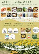 ひまわりまつりチラシ（ウラ）