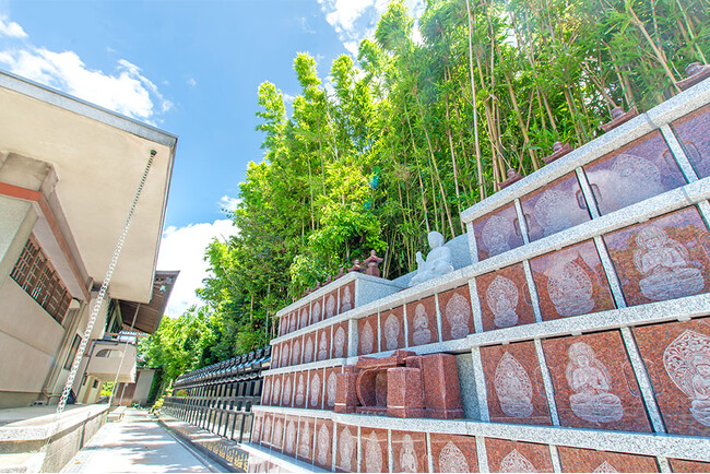 「水郷のまち柳川」に人気の樹木葬が誕生！7/13より無料見学受付開始