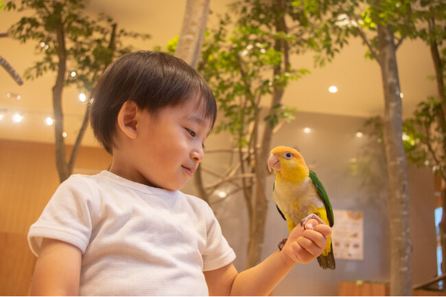 『Moff animal cafe イーアスつくば店』がリニューアルオープン！夏休みはたくさんの動物たちとふれあいの時間を！