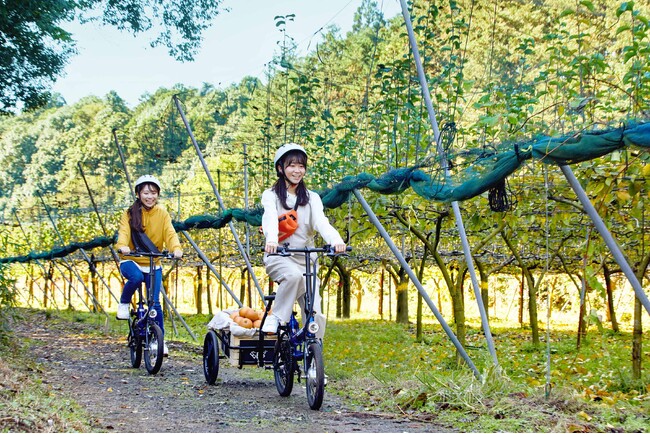 【星野リゾート　BEB5土浦】秋の陽気の中をサイクリングして梨農園を目指す！「梨狩りサイクリング」今年も開催｜期間：2024年9月1日～30日