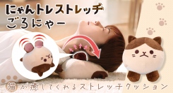 ごろんと寝転びほぐされる 前足のストレッチボールでガチガチの首まわりがスッキリ 猫が癒してくれるストレッチクッション「にゃんトレストレッチ ごろにゃー」を発売