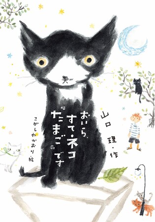 この人たちは、おいらを捨てたりしないかな―？　文研出版より『おいら、すてネコ『たまご』です』を発売！