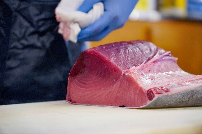 毎月恒例・大好評の「生本まぐろ解体ショー」「サカナタベタイMEGAドン・キホーテ本八幡」2024年7月20日（土）11時より開催！