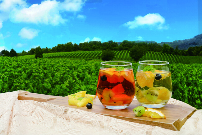 【中伊豆ワイナリーヒルズ】「ワイナリー・サマー・フェスタ 2024（Winery Summer Festa 2024）」を開催