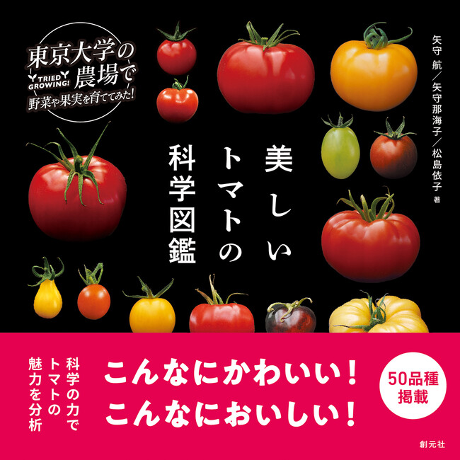 東京大学の農場でトマトを育てて分析してみた！『美しいトマトの科学図鑑』発売。