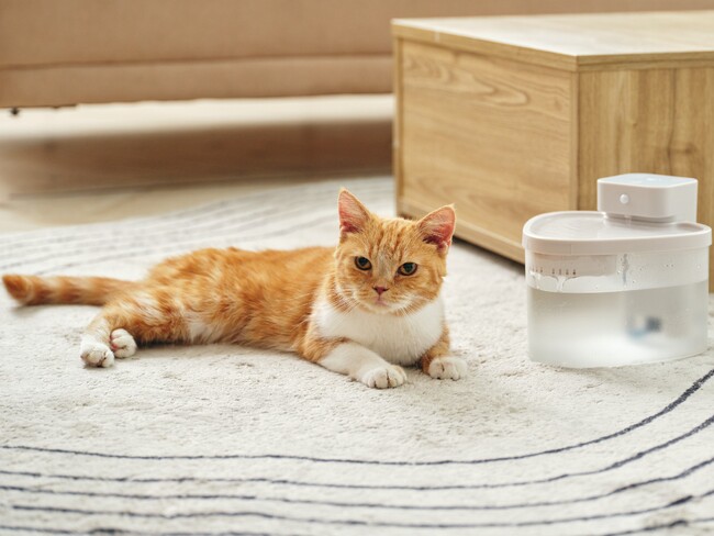 猫の健康を考慮した水飲み器、7月より発売開始