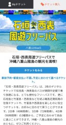 チケット購入画面 チケット購入画面