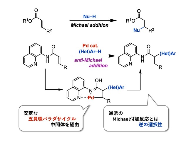 α-置換カルボニル化合物を一段階かつ高収率で合成できるanti-Michael型付加反応を実現 ～パラジウム触媒による反応中間体の安定性が鍵～