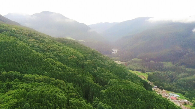 長野森林組合とバイウィルが森林クレジットの創出に向け、契約を締結