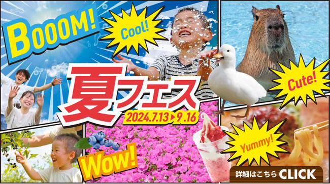 「マザー牧場 夏フェス 2024」7月13日よりスタート！