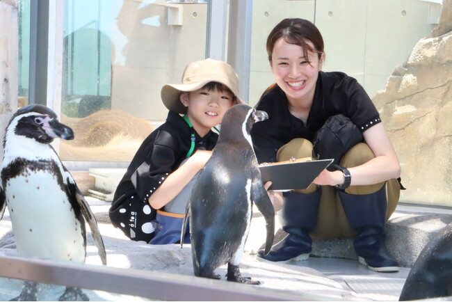 女の子の”ペンギンの飼育員になりたい”願い事がアトアで叶いました【七夕企画｜神戸の港の水族館】