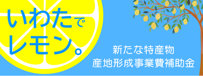 【静岡県内初】レモンの産地化による地域活性化のための連携協定を締結しました
