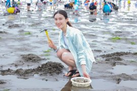 潮干狩りを楽しんでいる様子 潮干狩りを楽しんでいる様子