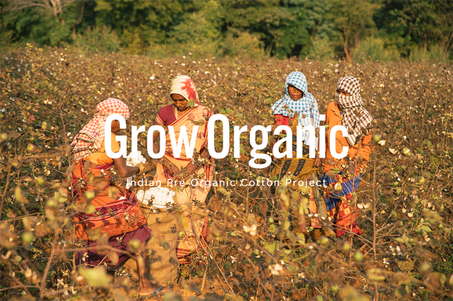 生産者と畑とつながる服、「Grow Organic」スタート