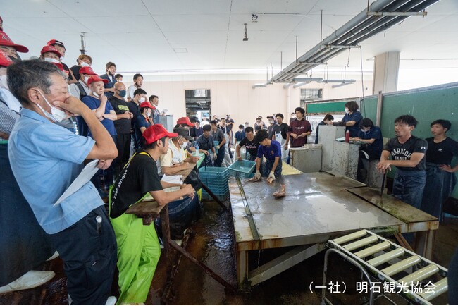 「香川・兵庫コラボ観光プロジェクト2024」始動！兵庫・香川の魅力がつまった周遊ツアーが販売開始されました！！