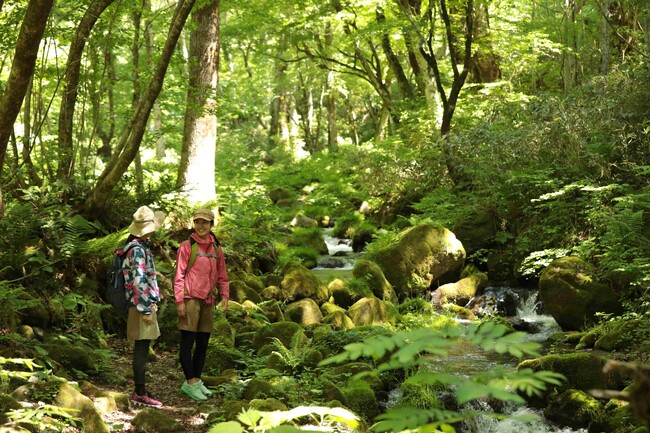 涼を求めて水めぐり　標高920mの高原へ　奥大山には涼を感じる美しい散策スポットがあります　休暇村奥大山では、地下２５０ｍから汲み上げた「天然水の足水」がおすすめ