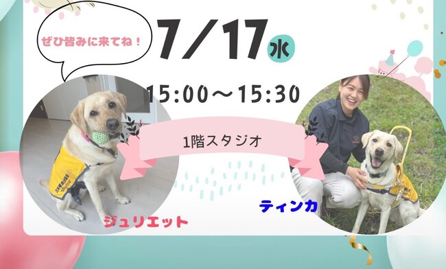 【関西発！】こども病院ファシリティドッグ候補犬のお披露目会を行います！！