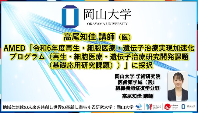 【岡山大学】高尾知佳講師（医）がAMED「令和6年度再生・細胞医療・遺伝子治療実現加速化プログラム（再生・細胞医療・遺伝子治療研究開発課題（基礎応用研究課題））」に採択