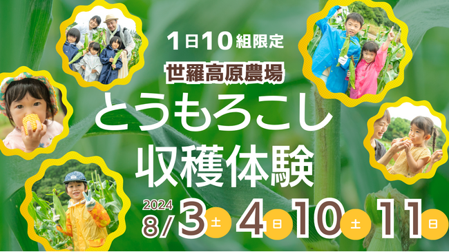 【広島／世羅】完全予約制！とうもろこし収穫体験《世羅高原農場》
