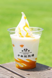 とうもろこし巨大迷路、水鉄砲サバイバル、
ソフトショップ夏の新メニューも！暑い夏を遊びつくすお楽しみ5選～那須千本松牧場夏フェスティバルー～