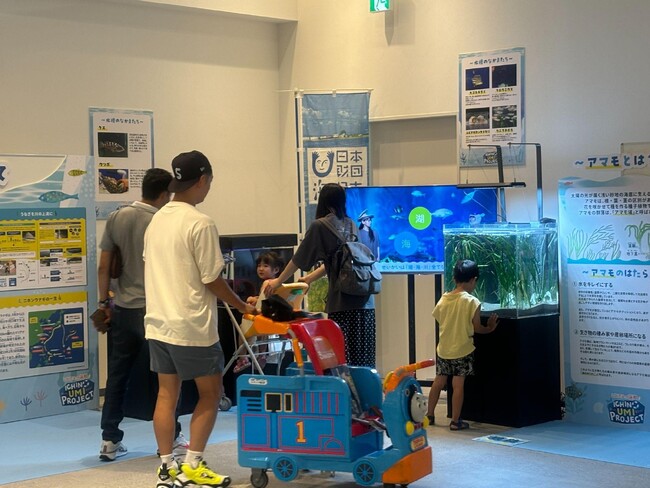 小中学生の夏休みの課題にぴったり！イオンモール浜松市野の館内にミニ水族館が出現！「浜名湖アマモ育成プロジェクト」の展示会がスタートしました！
