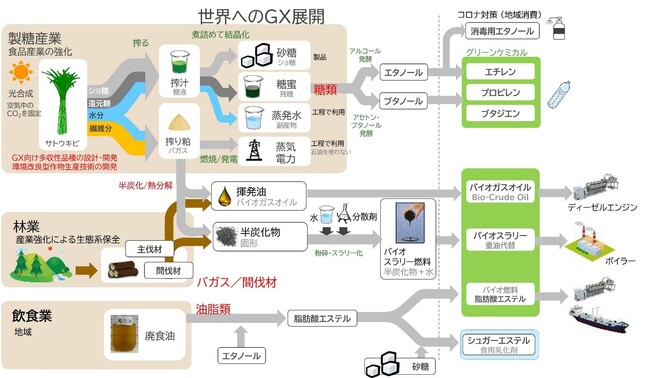 農工融合型GX技術の開発に向け東京大学のCOI-NEXTに参画　多収性サトウキビ安定生産、製糖副産物高付加価値化(バイオ燃料、グリーンケミカル製造)の共同研究を開始