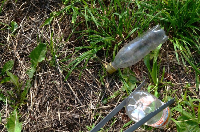 みちのくコカ・コーラボトリング、よこまちと協働し「東北フリーブレイズと清掃活動しよう！」イベントを実施