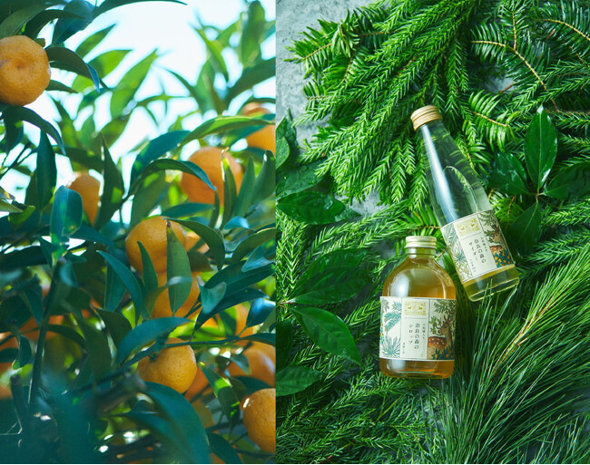 中川政七商店×日本草木研究所 初コラボ7月31日発売。日本最古の森を飲む「奈良の森シロップ・サイダー」