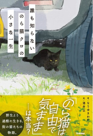 これはまさに、都会のシートン動物記!? 『誰も知らない　のら猫クロの小さな一生』が発売！