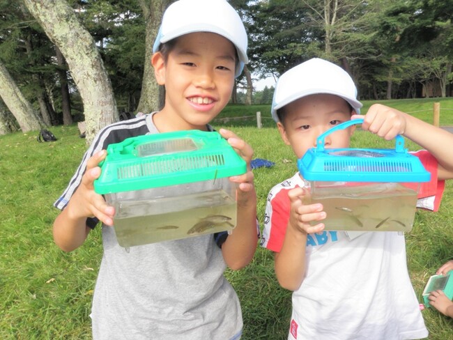 リゾートホテルの森や池で採集する森の昆虫＆池の生き物大調査隊や上越市立水族博物館うみがたりの「観て、触って、知る！海の生き物観察会」など夏休みの自由研究プログラムを開催
