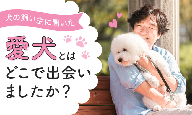 【犬の飼い主に聞いた!】愛犬との出会いは?