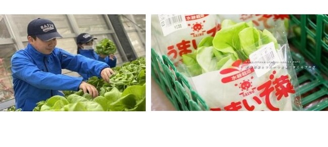西条農業高校の生徒たちが地元を想い開発した地産食材ピザが完成！！　愛媛県立西条農業高校×ピザーラ地産地消プロジェクト　7月20日から愛媛県内のピザーラキャラバンで販売開始！！