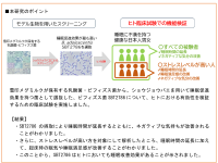 雪印メグミルク保有のビフィズス菌アドレセンティスSBT2786ヒトにおいて睡眠改善効果を有することを確認